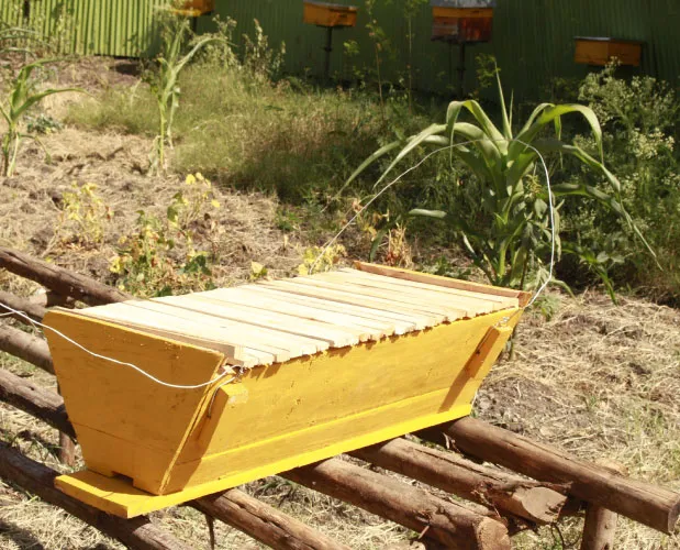 Kenya Top Bar Beehives